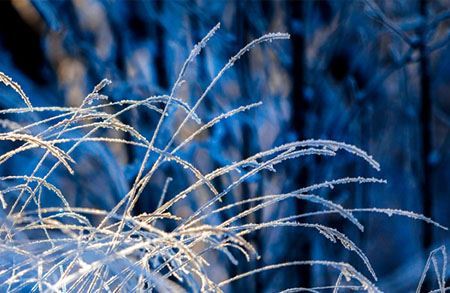 Picture for category Kaamos-/masennus