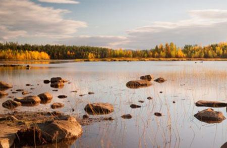 Picture for category Uniongelmat