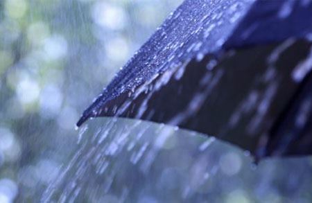 Picture for category Vastustuskyky