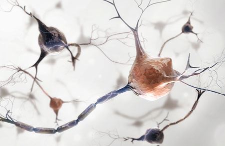 Picture for category Hermosto